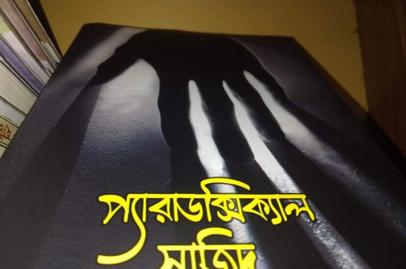 প্যারাডক্সিক্যাল সাজিদ – আরিফ আজাদ
